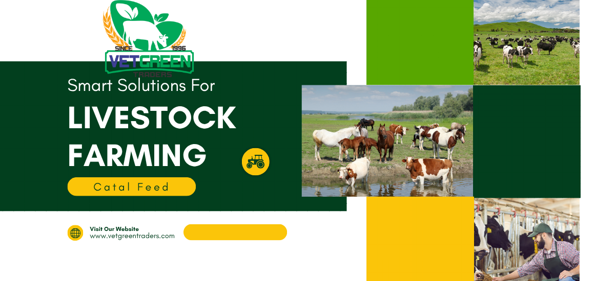Green Yellow Modern Livestock Farming Presentation (1200 x 550 px)